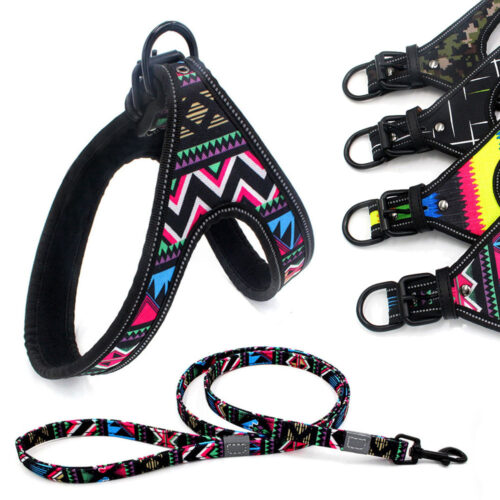 Colorful Walking Explosion-proof  Dog Leash