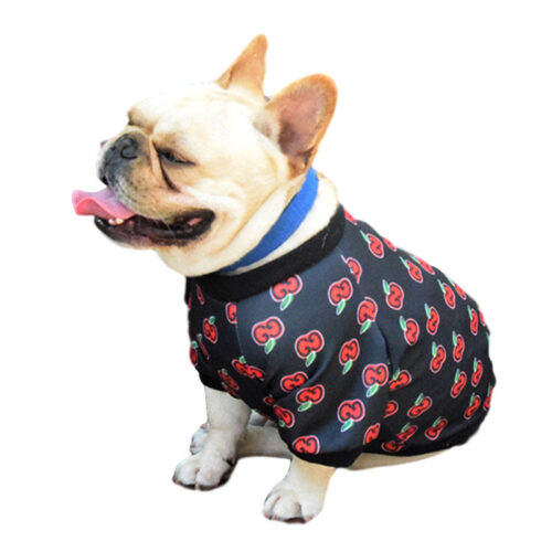 Spring and autumn Teddy dog clothing custom dog clothing pet clothing