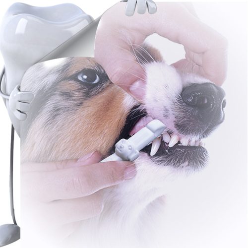 Portable Pet Teeth Cleaning Wipe