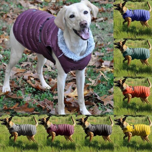 Dog Cotton Four Legged Clothing Casual Dog Clothing